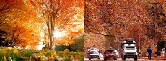SEASONS OF KASHMIR:      AUTUMN