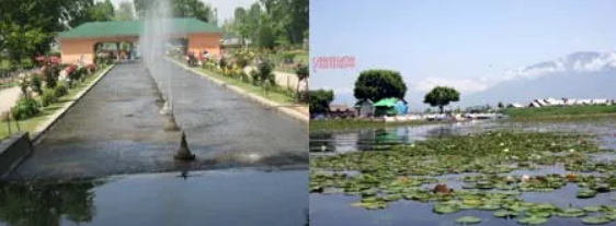 SEASONS OF KASHMIR:    LATE SUMMER