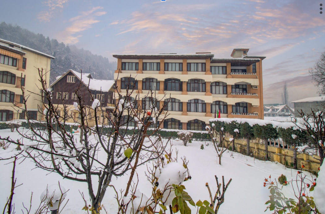Witness the Live Snow Fall...